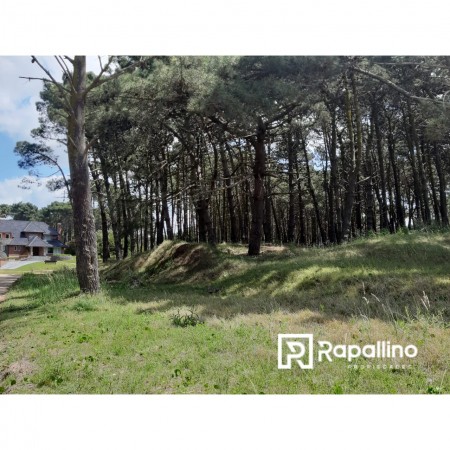 Lote Alamos Pinamar Norte 