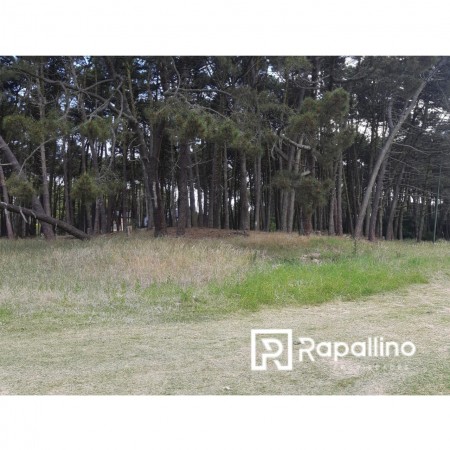 Lote Alamos Pinamar Norte 