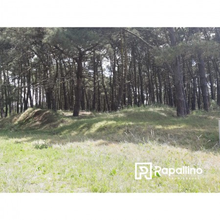 Lote Alamos Pinamar Norte 
