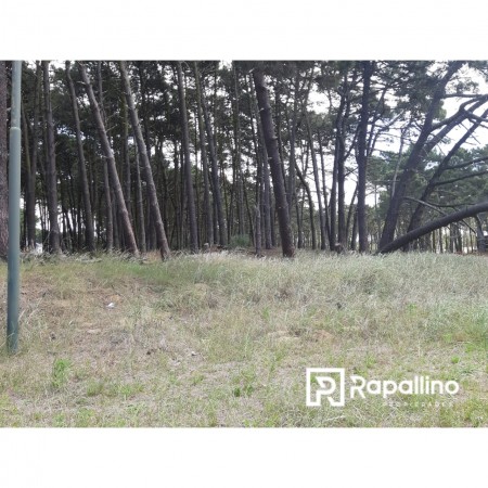 Lote Alamos Pinamar Norte 