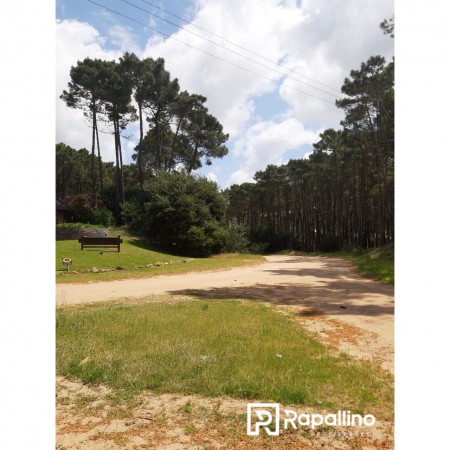 Lote Alamos Pinamar Norte 